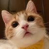 contentkiddo